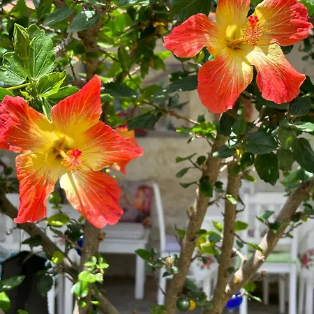 Pensión Tasdelen Alaçatı