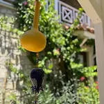 Tasdelen Alaçatı