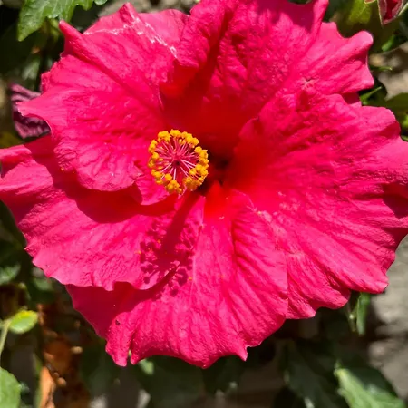 게스트하우스 Tasdelen