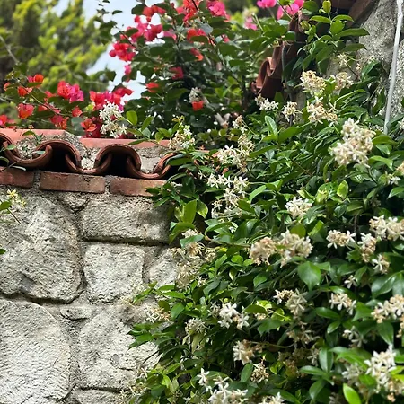 Tasdelen 4* Alacati