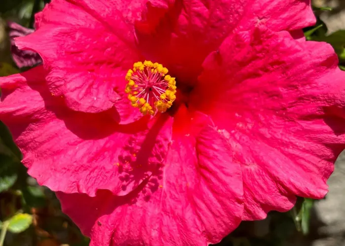 Maison d'hôtes Tasdelen