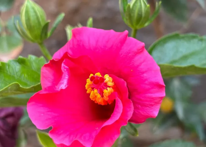 Maison d'hôtes Tasdelen 3*