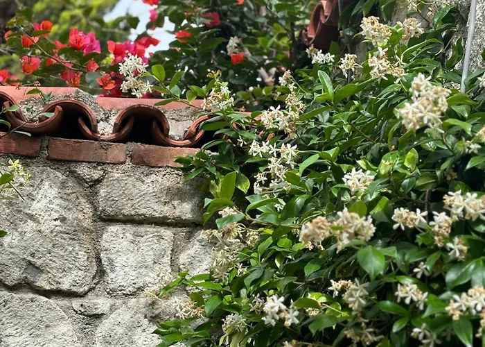 Tasdelen 3* Alaçatı